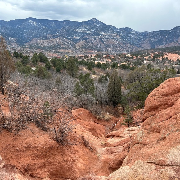 Meet your Posher, Cricket - Picture 12 of 13